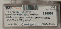 Image Associated With the Occurence